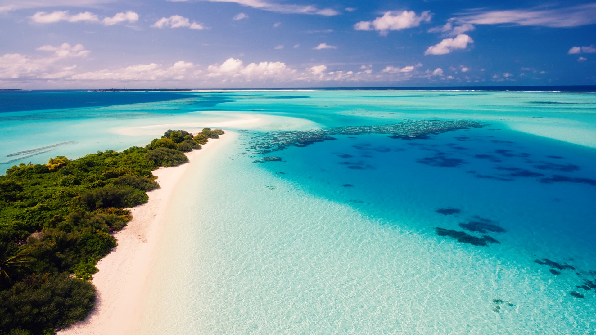Maldivs